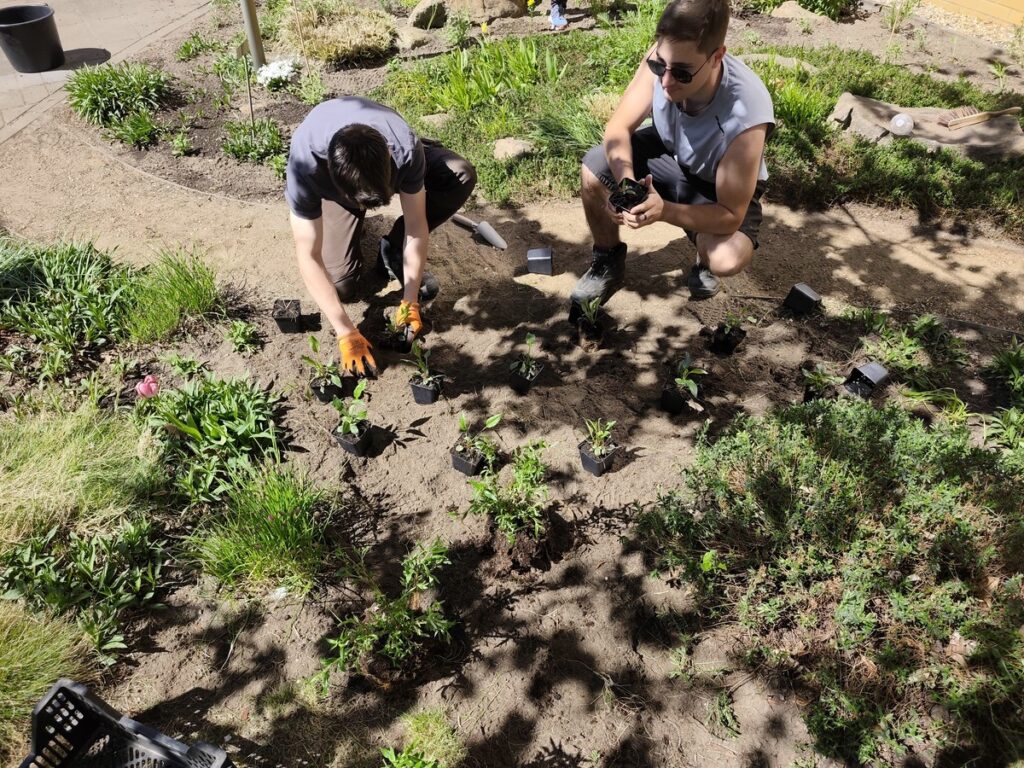 Garten2